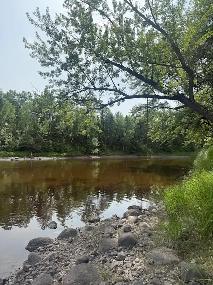 Swing tree at Cuyuna Crossing
