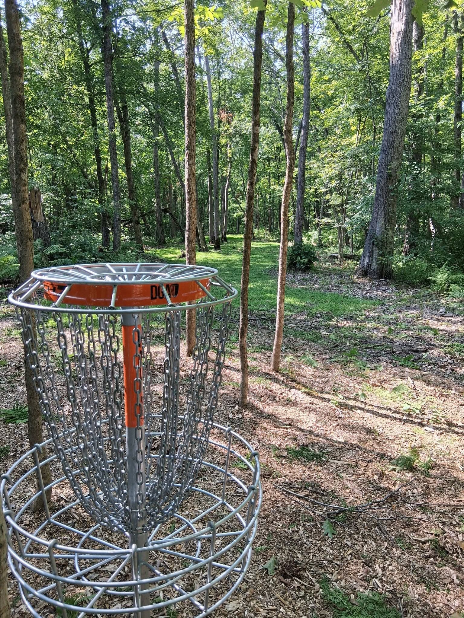 Disc golf basket in wooded forest setting