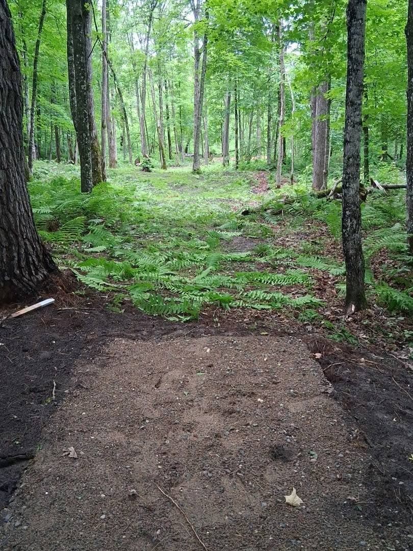 Moss-covered forest hiking trail