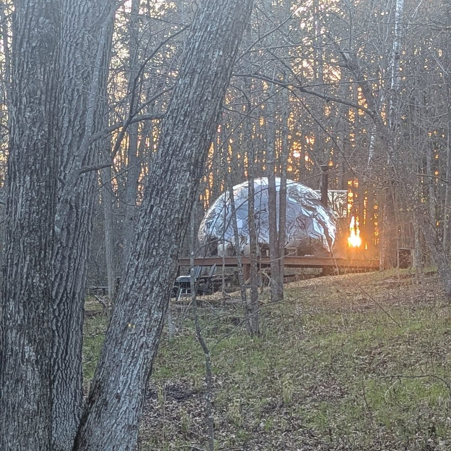 Geodesic dome glowing at golden hour in the forest